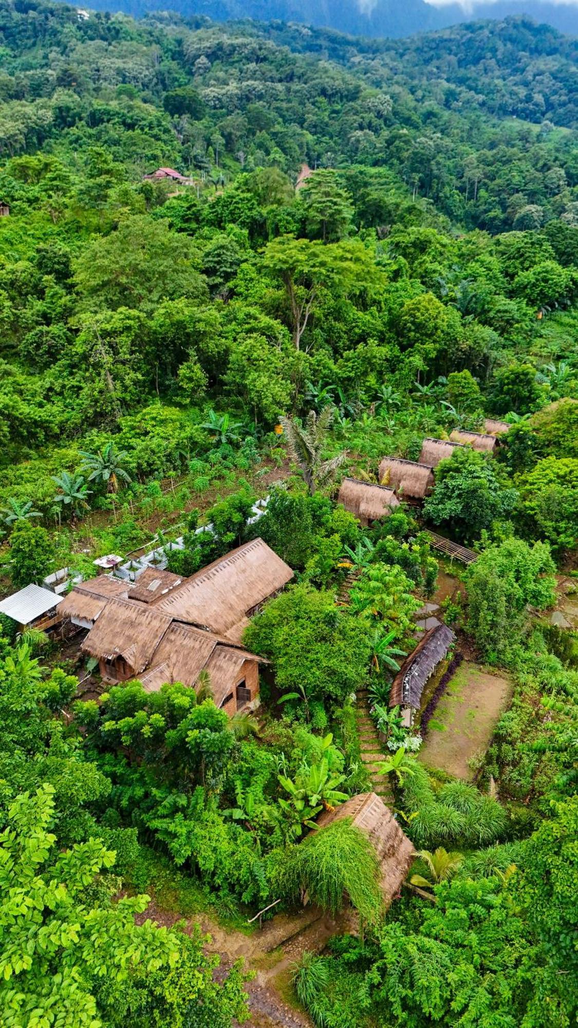 Sten Lodge ลาบวนบาโจ ภายนอก รูปภาพ